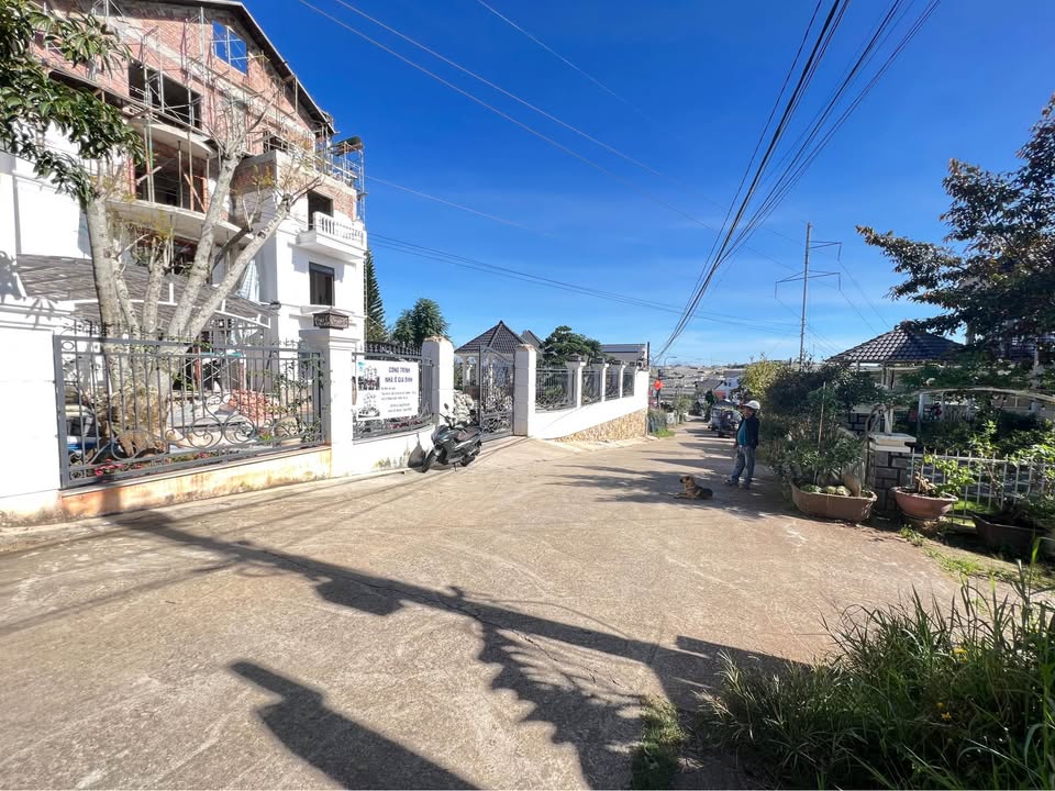 Đất nền 248m² đường Trần Thị Bạch Liên, Đà Lạt - Giá chỉ 10.9 tỷ, vị trí đẹp!