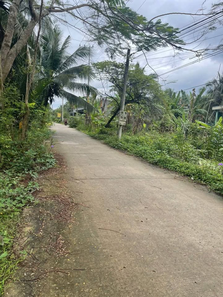 Nhà tại Hòa Lộc, Mỏ Cày Bắc, Bến Tre 134m² giá 470 triệu - Sẵn sàng giao dịch ngay!