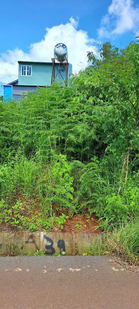 Đất nền Xuân Trường, Đà Lạt 72m² giá 2.1 tỷ - Sổ riêng, view săn mây!