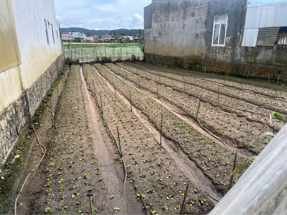 Lô đất Phú Hội, Đức Trọng 130m² giá chỉ 779 triệu - Cơ hội đầu tư tuyệt vời!