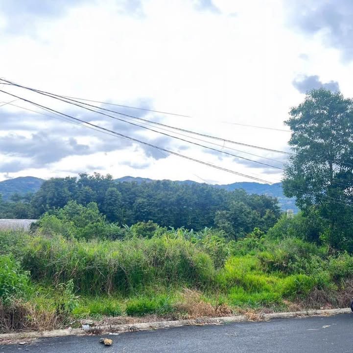 Đất nền thổ cư Lộc Thành Bảo Lâm 101m² giá 830 triệu - Cơ hội đầu tư hấp dẫn!