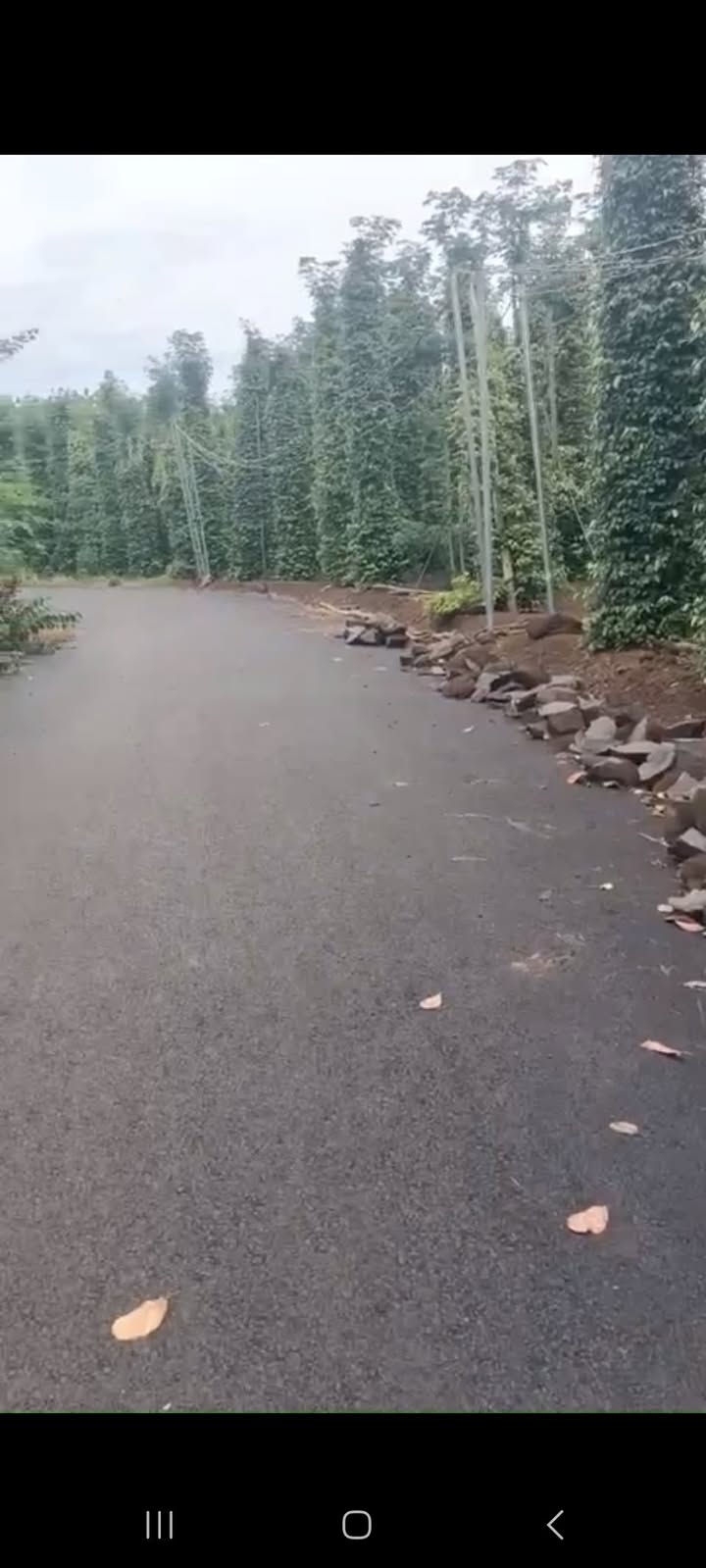 Đất Farm Bàu Lâm Xuyên Mộc 3600m² giá 3.6 tỷ - Sổ đỏ chính chủ