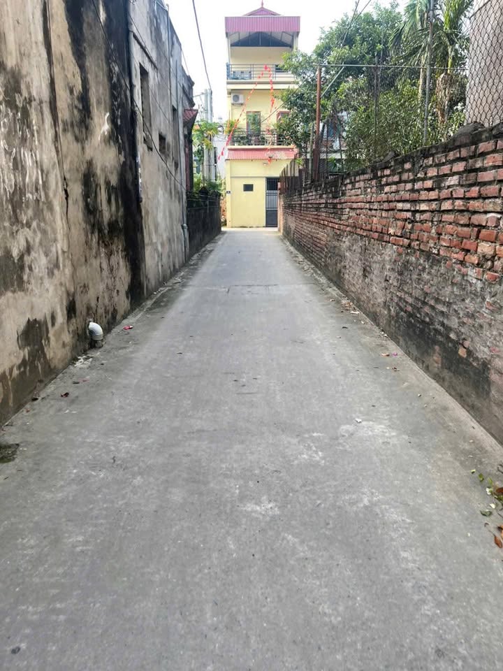 Đất nền Xóm 1 Tự Nhiên Thường Tín 103m² - Vị trí đắc địa, tiện ích đầy đủ!