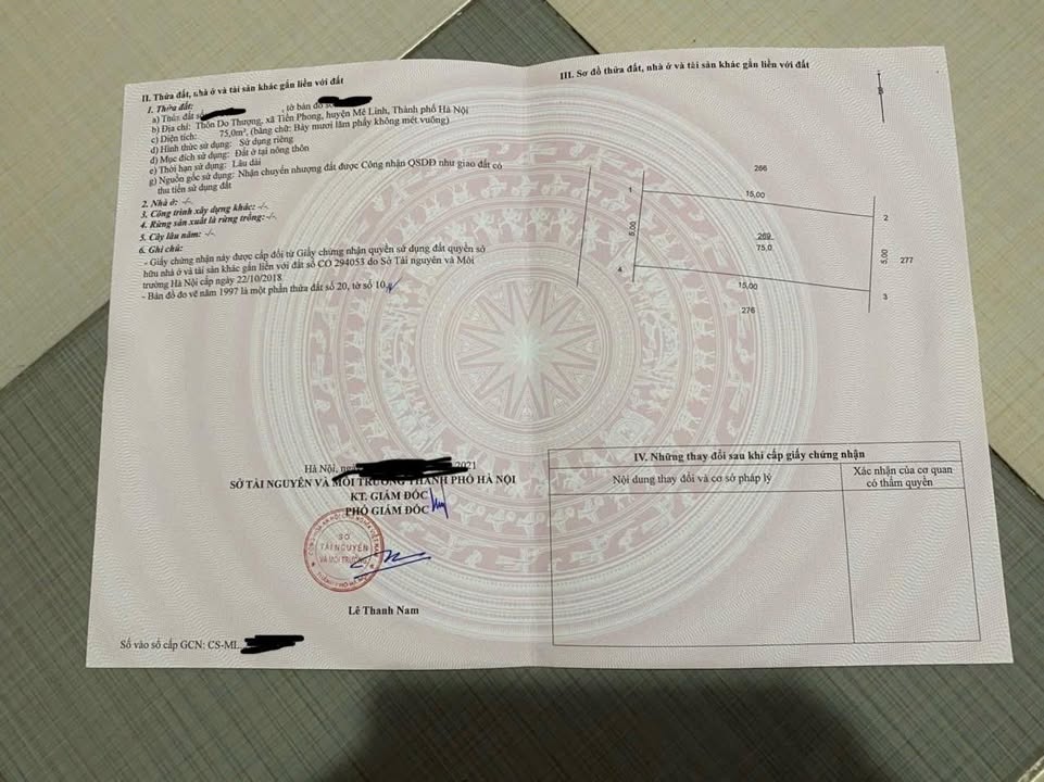 Đất nền Tiền Phong Mê Linh 75m² giá chỉ từ 7 triệu - Đường rộng, vị trí đẹp!