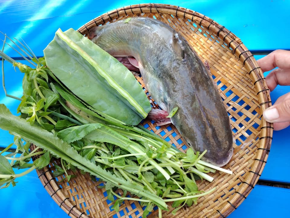 Nhà + đất khu du lịch biển Tam Thanh 230m² giá 3 tỷ - Thiết kế hiện đại, gần biển!