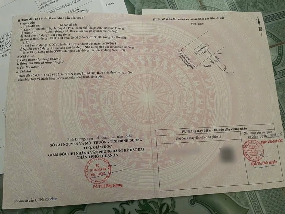 Đất sổ hồng riêng An Phú 77m² giá 2 tỷ - Đối diện Trường THPT Lý Thái Tổ!