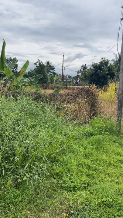 Đất nền Ấp Thạnh Phú, Gò Công Tây 204m² - View kênh, giá chỉ 300 triệu!