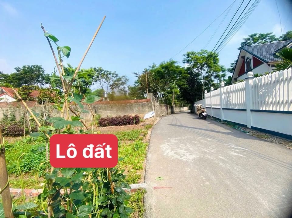 Đất nền 101m² tại xã Đồng Tĩnh, huyện Tam Dương chỉ 600 triệu - Đầu tư sinh lời ngay!