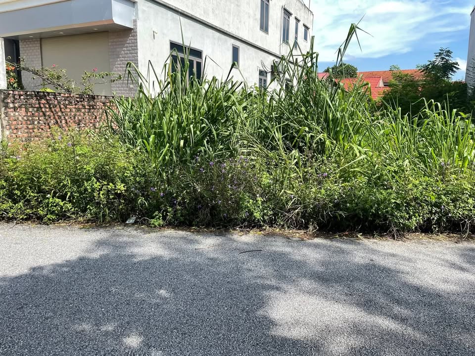 Đất nền Thiện Kế, Bình Xuyên 100m² - Cơ hội đầu tư sinh lời ngay!