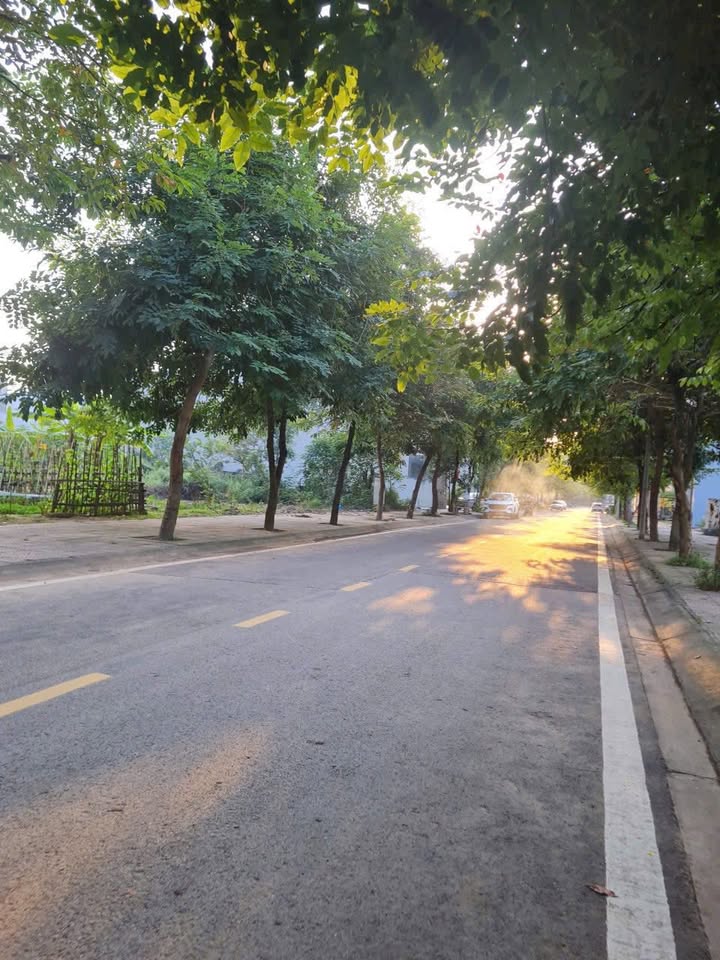 Đất nền 100m² GĐ1 đường 16m5 Vĩnh Yên - Sổ đỏ chính chủ, giá tốt!