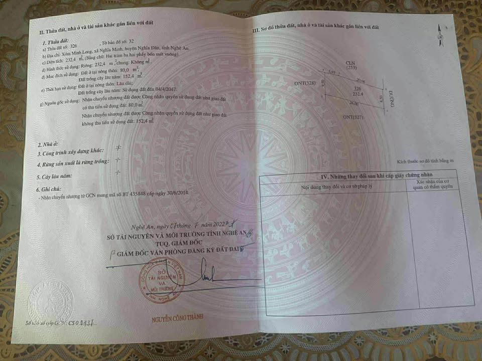 Đất nền Nghĩa Đàn 232m² giá chỉ 500 triệu - Đầu tư sinh lời ngay!