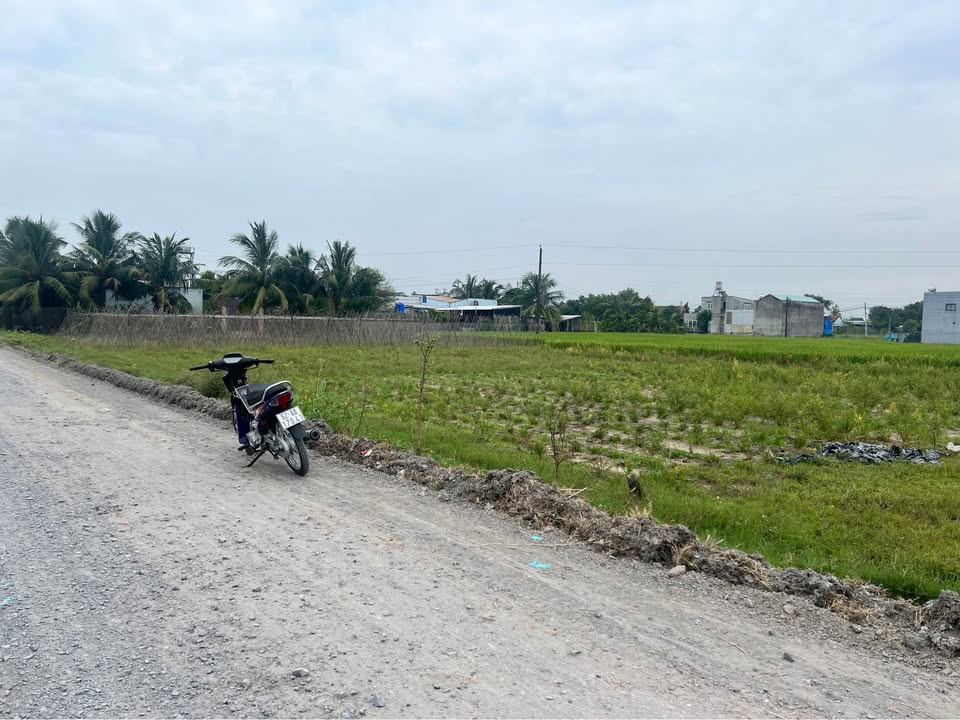 Đất thổ cư 200m² xã Mỹ Hạnh Nam, Đức Hòa giá 1.25 tỷ - Sổ hồng riêng, đường nhựa rộng rãi!