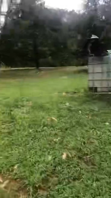 Lô vườn Đạ Huoai 1ha giá 4 tỷ - Đường xe hơi thuận tiện