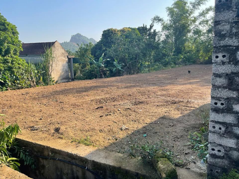 Đất nền Yên Sơn, Tam Điệp 90m² giá 1xxx tỷ - Nền đất bằng phẳng, dân cư đông đúc!