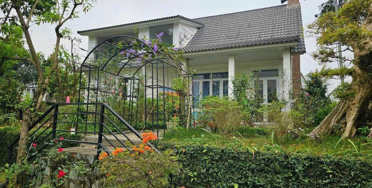 Biệt thự Cư Yên 7500m² giá đầu tư - Thế đất cao view thoáng!