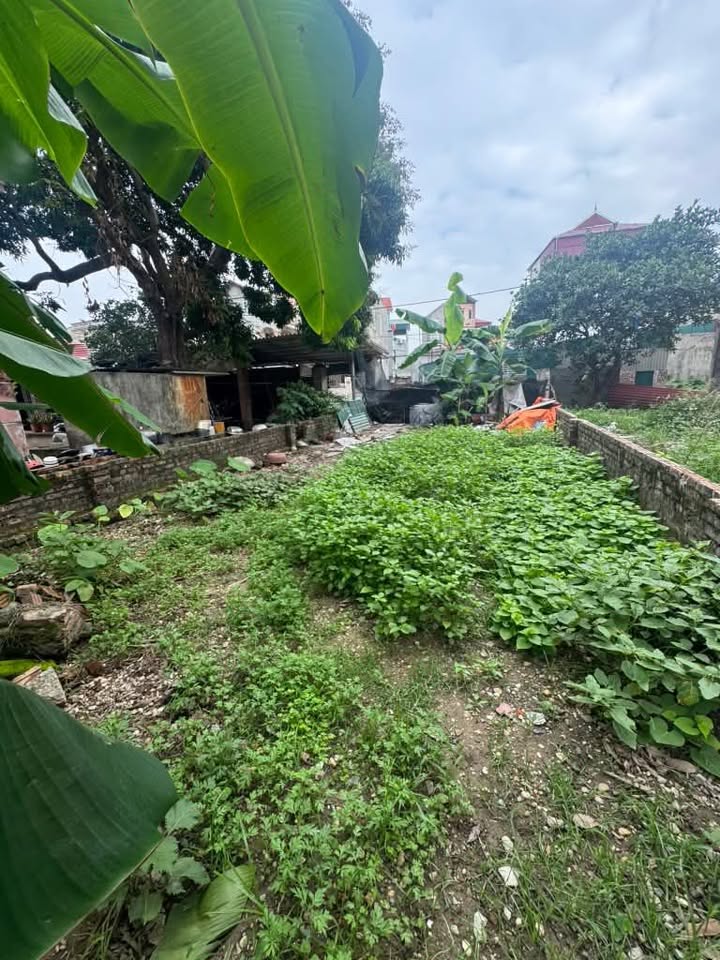 Đất nền Đa Tốn - Gia Lâm 44m² giá thỏa thuận - Ô tô vào tận nơi, tiện ích đầy đủ!