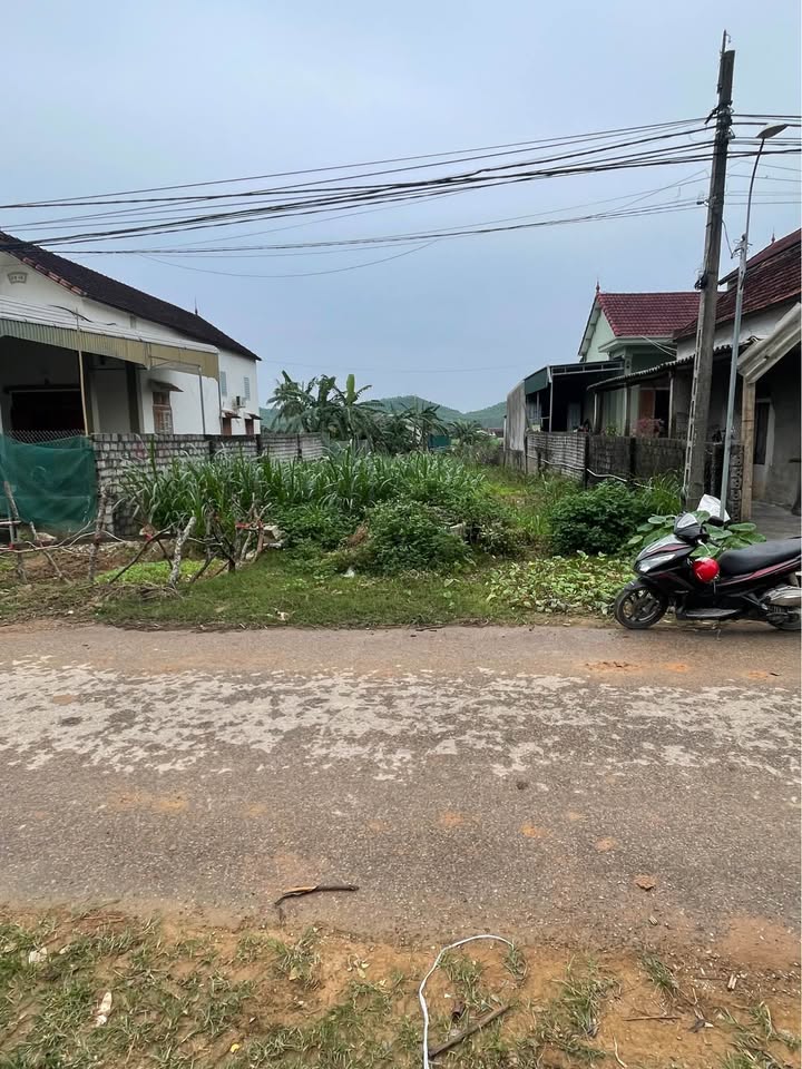 Đất kinh doanh đường liên xã Quỳnh Tam 200m² giá chỉ từ 100 triệu - Cơ hội đầu tư hấp dẫn!