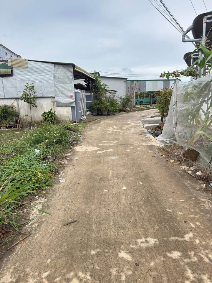 Đất nền Phú Hội, Đức Trọng 130m² giá chỉ 779 triệu - Cơ hội đầu tư hiếm có!