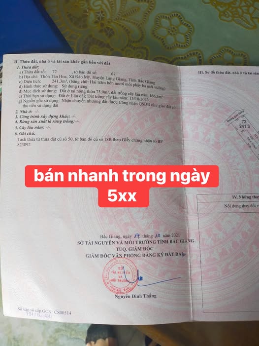 Đất thổ cư Đào Mỹ - Lạng Giang 241m² chỉ 5xx triệu - Bán gấp, giá tốt!