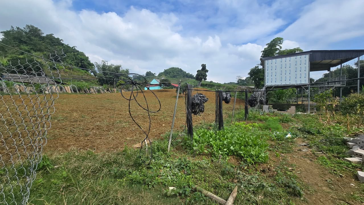 Đất nền Vân Sơn Mộc Châu 3000m² giá 6 tỷ - Cơ hội đầu tư hiếm có!