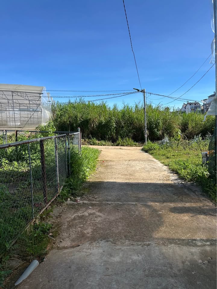 Đất đường Mai Anh Đào, Đà Lạt 90m² giá 1.3 tỷ - Sổ đỏ chính chủ!