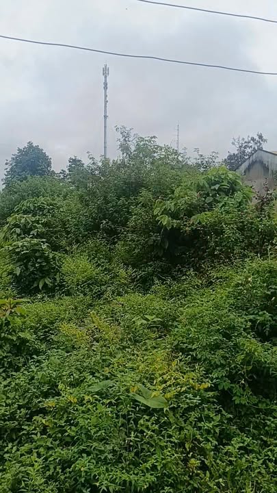 Đất nền 1166m² tại xã Ia Băng, Gia Lai - Giá chỉ 880 triệu VND!