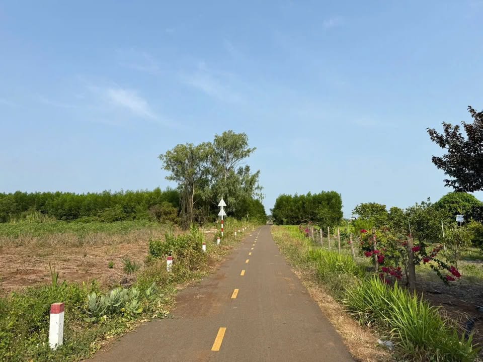 Đất vườn Long Tân 5000m² chỉ 500 triệu - Cơ hội đầu tư hấp dẫn!