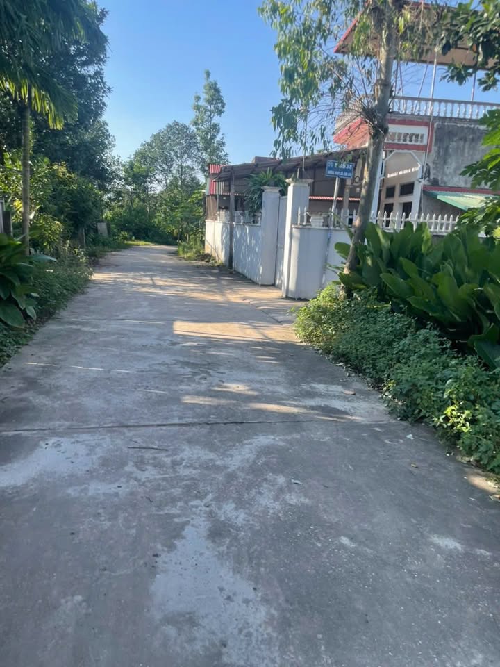 Đất thổ cư thôn Tràng Cát Kim An 62,8m² giá 1,9 tỷ - Đường ô tô vào tận nơi!