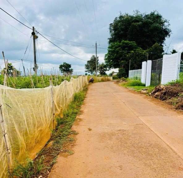 Đất nền Tân Hội, Đức Trọng 75m² giá chỉ 640 triệu - Cơ hội đầu tư tuyệt vời!