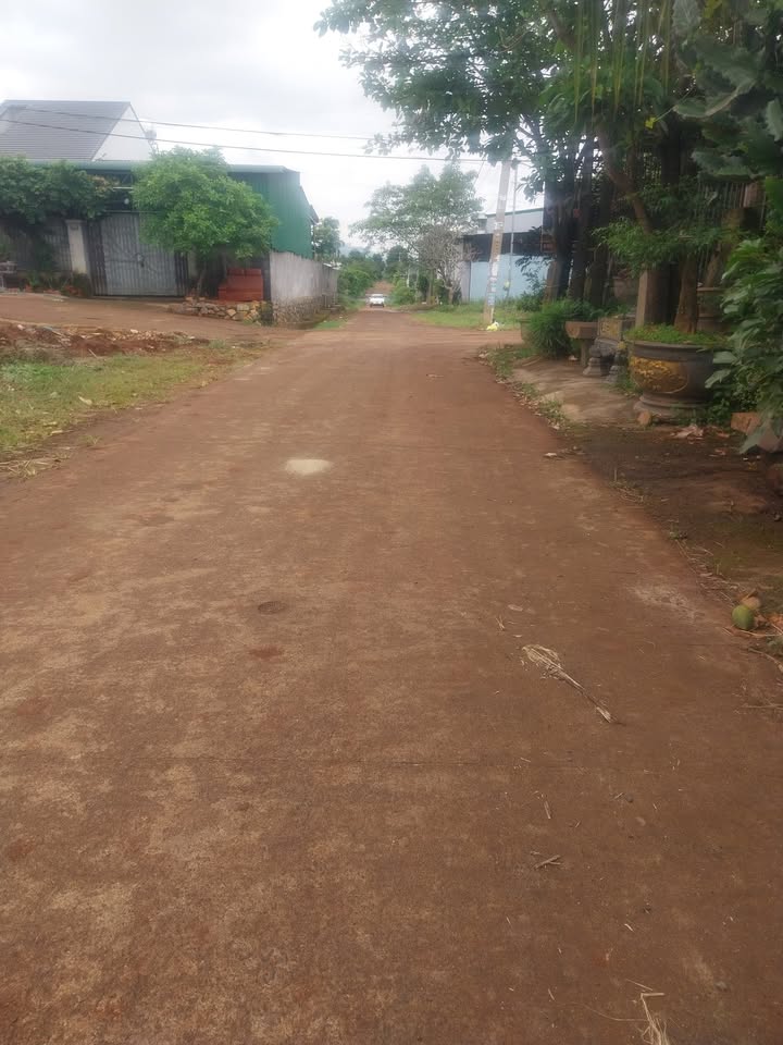 Đất thổ cư Buôn Ma Thuột 520m² giá 3.8 tỷ - Tiềm năng đầu tư lớn!