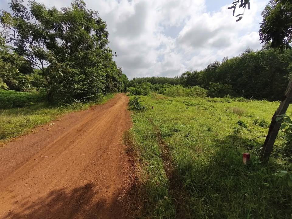 Đất nền An Khương Hớn Quản 200m² giá chỉ 1 tỷ - Tiềm năng đầu tư lớn!