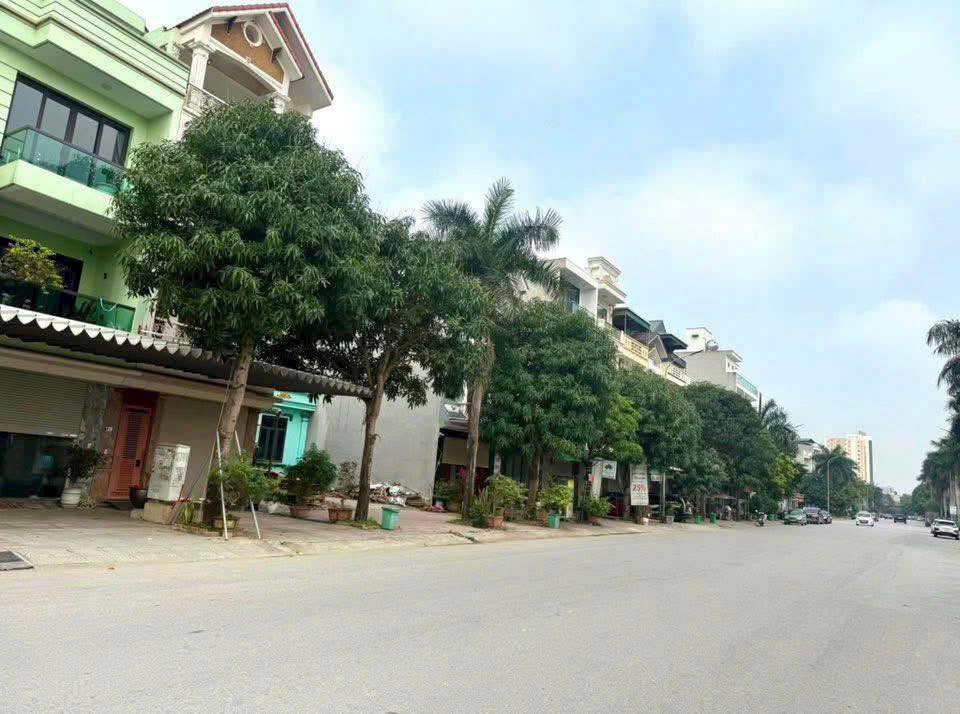 Đất nền đường Hàng Cau, phường Đông Thọ, 80m² giá 6 tỷ - Cơ hội đầu tư tuyệt vời!