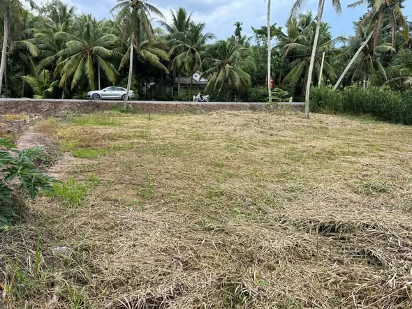 Đất nền 145m² xã Trung Thành Tây, Vĩnh Long - Sổ hồng chính chủ, giá 280 triệu!