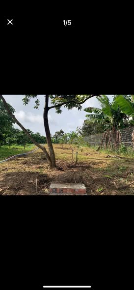 Nhà vườn nghỉ dưỡng thôn 12, Bảo Lâm 582m² giá 1.7 tỷ - Sẵn sàng vào ở!