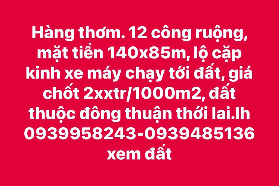 Đất nông nghiệp Đông Thuận Thới Lai 12.000m² giá 2.688 tỷ - Cơ hội đầu tư sinh lời!