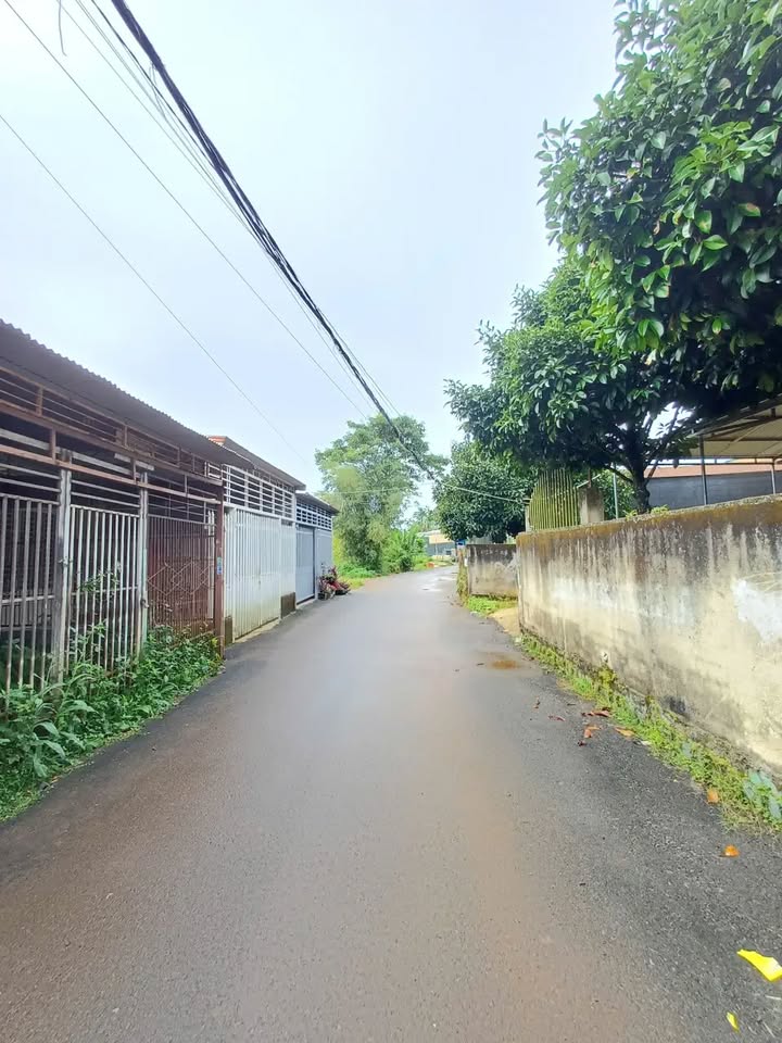 Đất nền Bảo Lộc 150m² giá 1.5 tỷ - Tiềm năng đầu tư sinh lời!