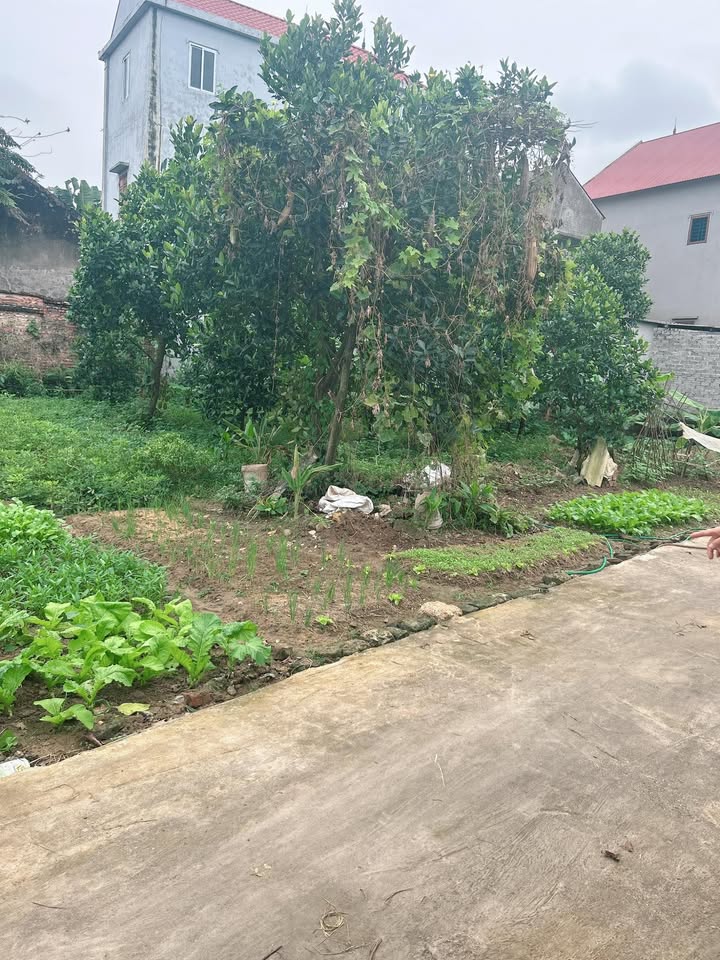 Đất nền thôn Chàng, xã Việt Tiến, 120m² giá 600 triệu - Chính chủ bán gấp!