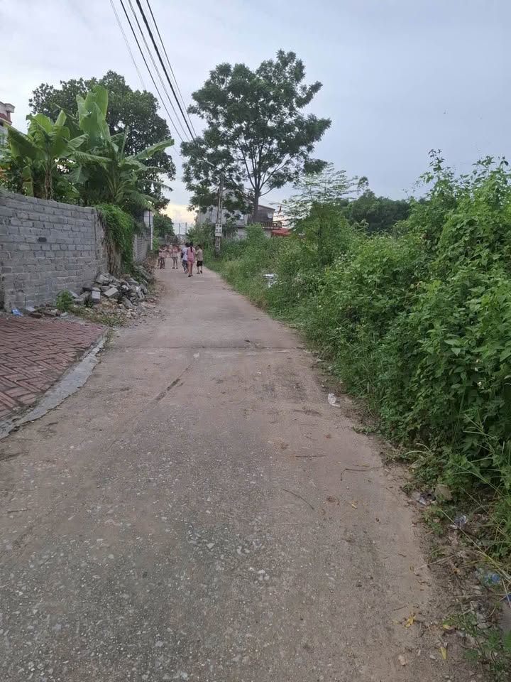 Đất nền Cẩm Lý Lục Nam 200m² giá chỉ 3xx triệu - Đường thông thoáng, đầu tư sinh lời!