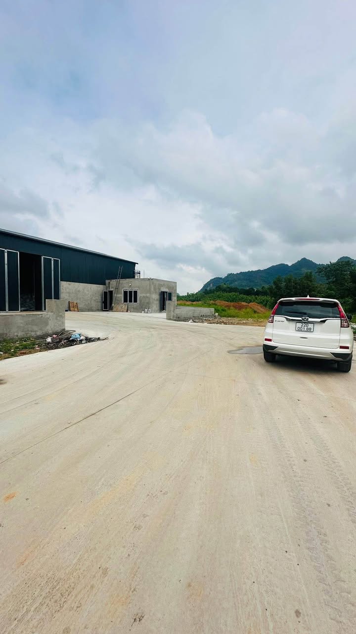 Đất dịch vụ 2 mặt tiền tại Dốc Đỏ, Nông Tiến 1920m² - Vị trí đắc địa cho kinh doanh!