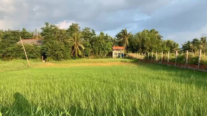 Đất vườn 2400m² Tân Thủy, Bến Tre - Gần trường học, giá 3.2 tỷ - Cơ hội đầu tư hấp dẫn!