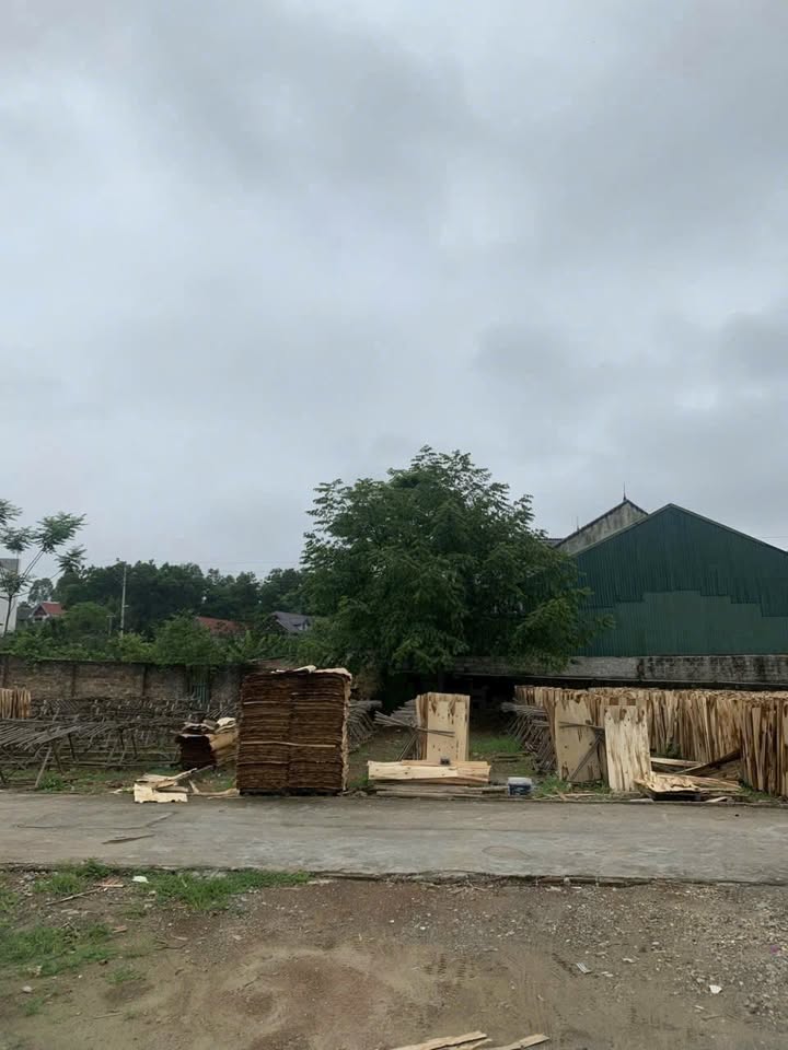 Đất nền 130m² tại Quảng Oai, Ba Vì - Chỉ 1.1 tỷ VND, đầu tư sinh lời!