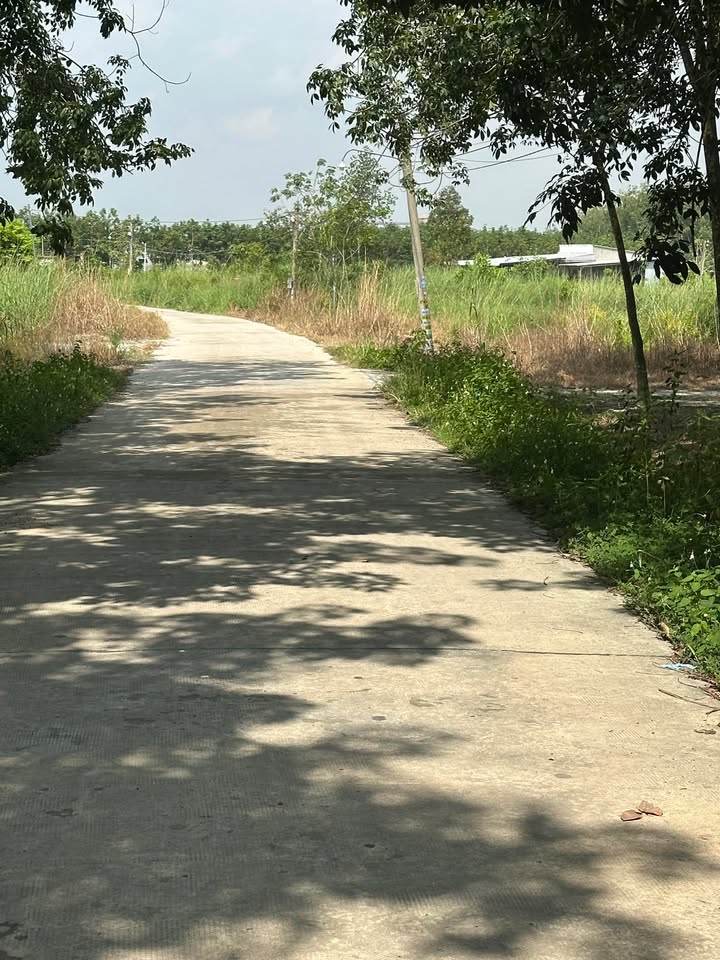 Đất thổ cư 360m² tại đường số 4, phường Minh Hưng - Giá chỉ 300 triệu!