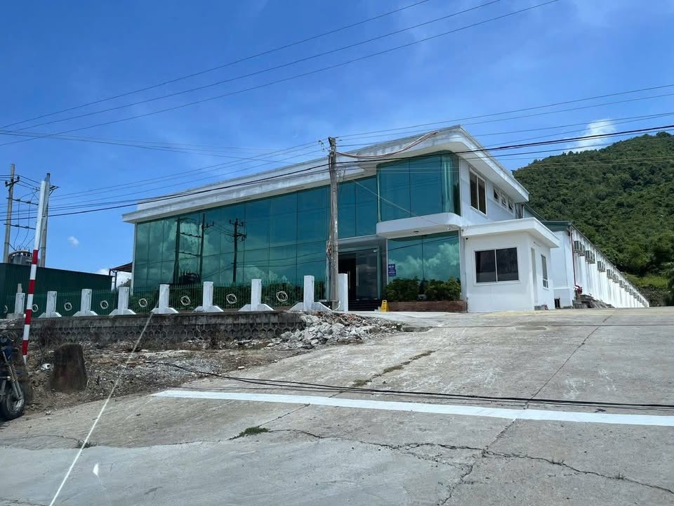 Bán kho đất Mặt đường TL3, Thôn Cây Xoài, 9720m² giá 40 tỷ - Dòng tiền ổn định!