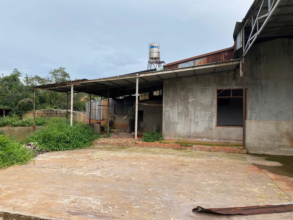 Nhà xưởng và ao cá tại Bảo Lộc 800m² giá 4.5 tỷ - Cơ hội đầu tư tuyệt vời!