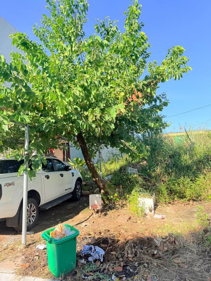 Lô đất Nguyễn Tri Phương, Hải Yên 90m² giá chỉ 2 tỷ - Đầu tư sinh lời hấp dẫn!