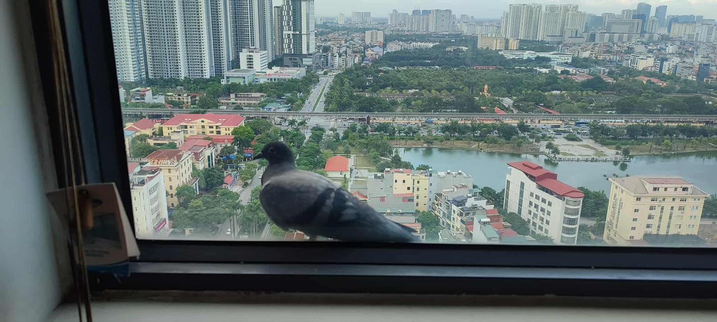 Căn hộ C6 Trần Hữu Dực 124m² giá thỏa thuận - Nâng tầm cuộc sống của bạn!