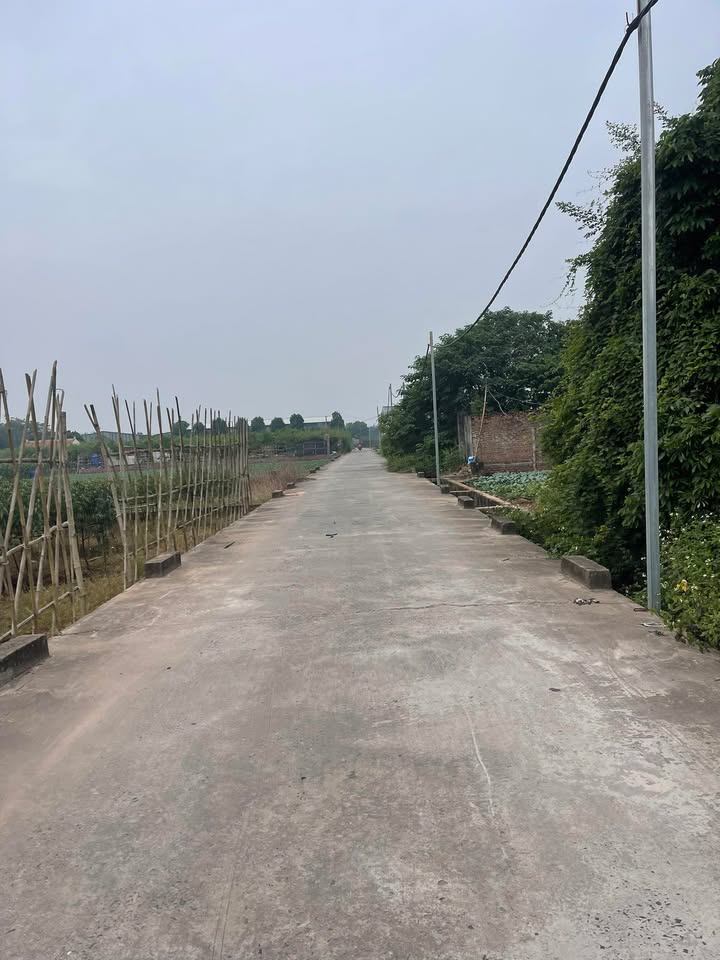 Đất thổ cư xã Song Phương, Hoài Đức 340m² giá 1.02 tỷ - Sổ hồng chính chủ, giao dịch ngay!