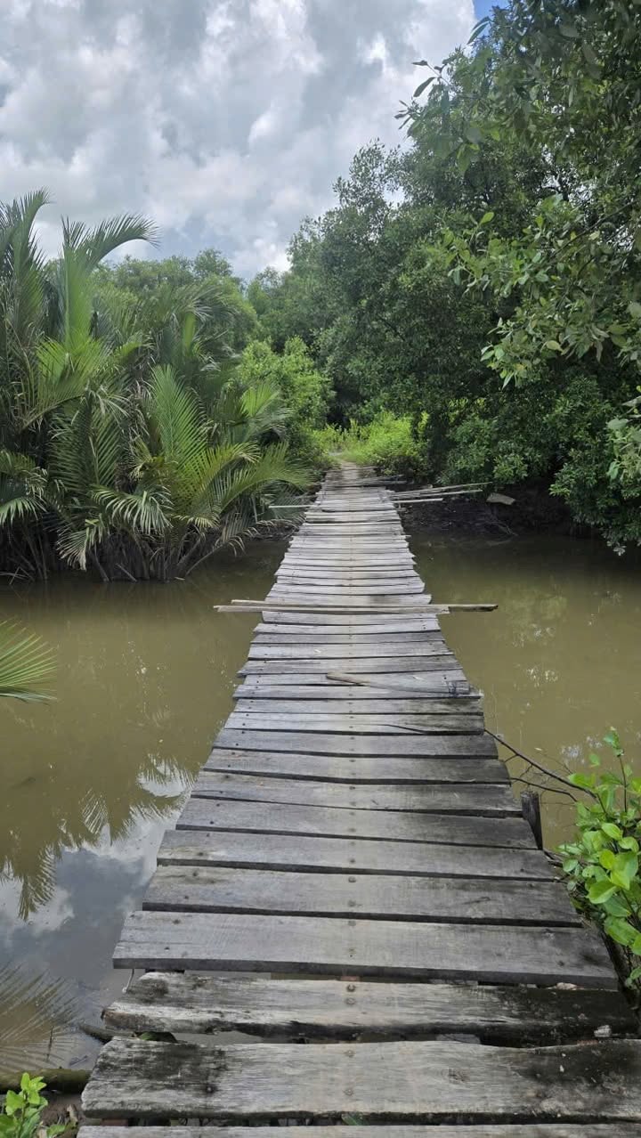 Đất nuôi trồng thủy sản Ấp 10, Long Hữu 13000m² giá 1.56 tỷ - Cơ hội đầu tư hấp dẫn!