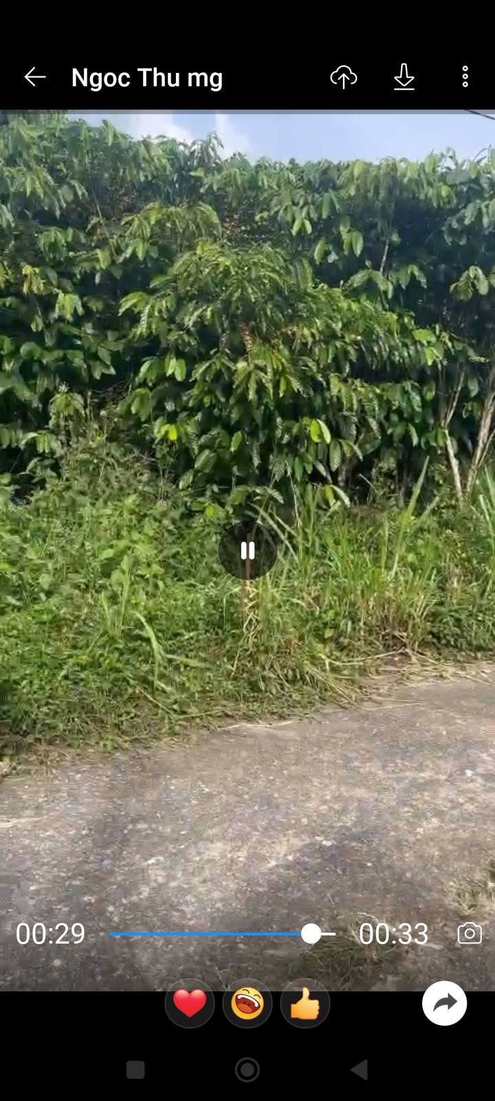 Đất nền Hòa Nam, Di Linh 792m² giá 1.4 tỷ - Đầu tư sinh lời ngay!