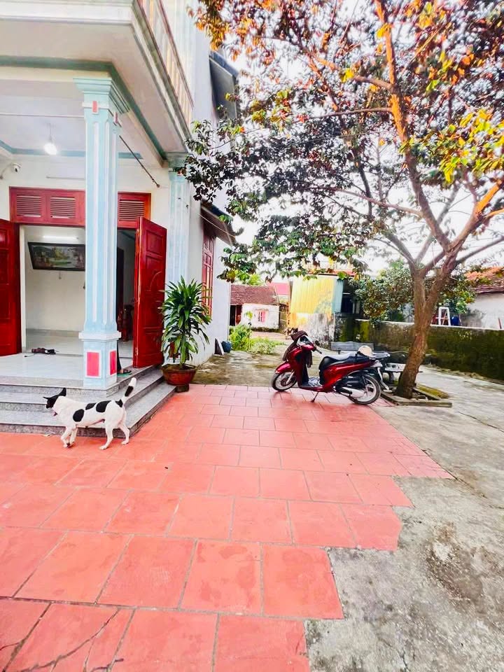 Đất tặng nhà mái thái 2 tầng phường Đông Lĩnh 736m² giá 4 tỷ - Cơ hội đầu tư tuyệt vời!